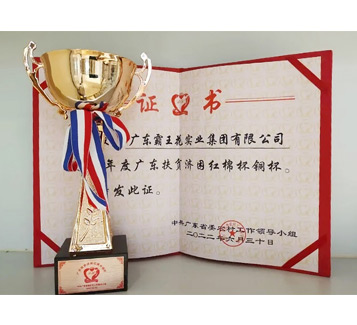 2021年度廣東扶貧濟困紅棉杯銅杯